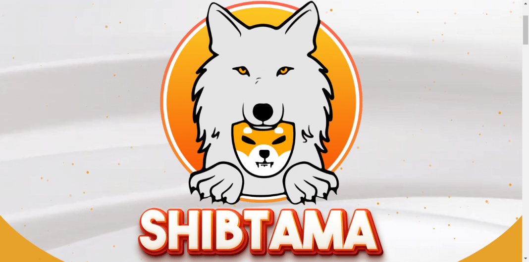 What Is Shibtama (SHIBTAMA)?