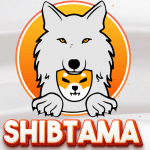What Is Shibtama (SHIBTAMA)?