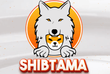 What Is Shibtama (SHIBTAMA)?