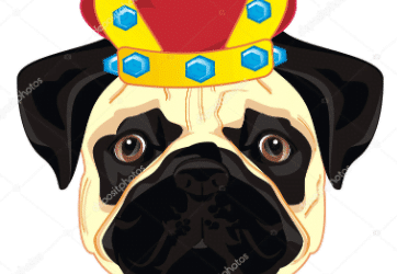 babyDogeKing