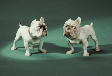 BullDog Coin