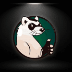 Ferret