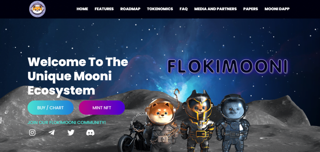 Flokimooni (FLOKIM) Coin Complete Detailed Review
