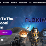 Flokimooni (FLOKIM) Coin Complete Detailed Review