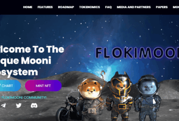 Flokimooni (FLOKIM) Coin Complete Detailed Review