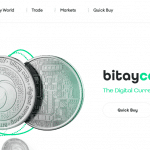 BITAY Coin (BITAY) Complete Detailed Review