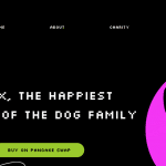 BABYOKX (BABYOKX) Coin Complete Detailed Review 2022