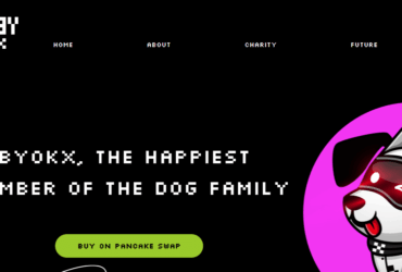 BABYOKX (BABYOKX) Coin Complete Detailed Review 2022