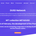 DUSD Network Coin Complete Detailed Review