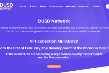 DUSD Network Coin Complete Detailed Review