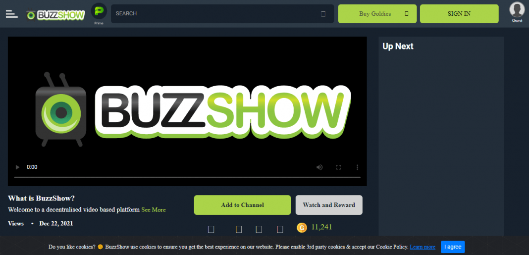 Buzzshow (GLDY) Coin Complete Detailed Review