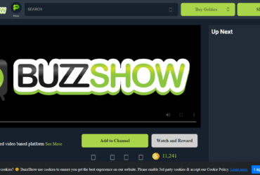 Buzzshow (GLDY) Coin Complete Detailed Review