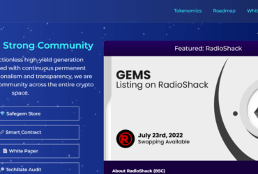 What is Safegem (GEMS) Coin Review ? Complete Guide & Review About Safegem