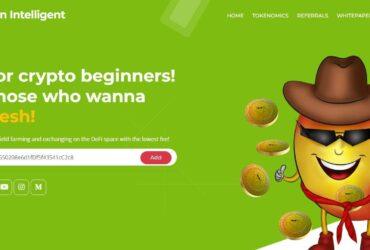 What Is MangoMan Intelligent (MMIT)? Complete Guide & Review About MangoMan Intelligent