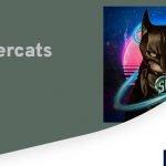 What Is Supercats (TRT)? Complete Guide & Review About Supercats