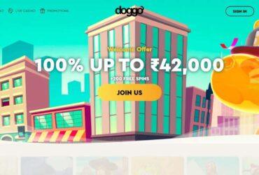 Doggocasino.com Casino Review : Latest 2022 Review