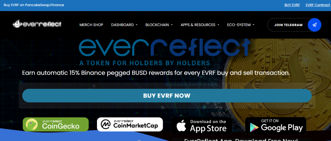 EverReflect (EVRF) Coin Complete Detailed Review 2022