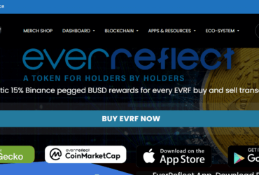 EverReflect (EVRF) Coin Complete Detailed Review 2022