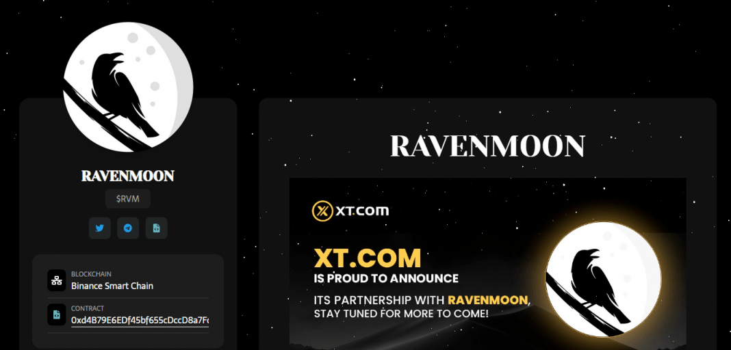 RavenMoon (RVM) Coin Complete Detailed Review