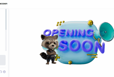 Rocket Raccoon (ROC) Coin Complete Detailed Review About Rocket Raccoon