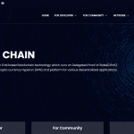 HyperonChain (HPN) Coin Complete Detailed Review About HyperonChain