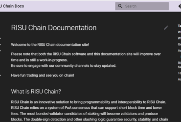 Risu (RISU) Coin Complete Detailed Review About Risu