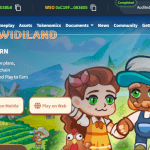 Widi Soul (WSO) Coin Complete Detailed Review About Widi Soul