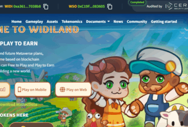 Widi Soul (WSO) Coin Complete Detailed Review About Widi Soul