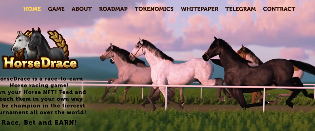 HorseDrace (HORSEDRACE) Coin Complete Detailed Review About HorseDrace