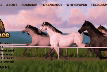 HorseDrace (HORSEDRACE) Coin Complete Detailed Review About HorseDrace