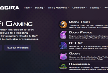 Dogira (DOGIRA) Coin Complete Detailed Review About Dogira