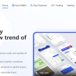 Ruyi (RUYI) Coin Complete Detailed Review About Ruyi