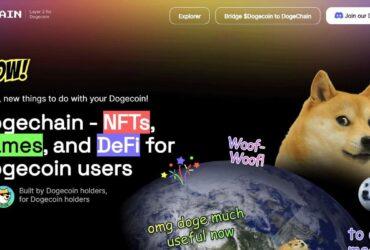 Dogechain Airdrop Review: Trust in Dogechain