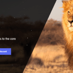 CryptoZoo (new) (ZOO) Coin Complete Detailed Review About CryptoZoo (new)