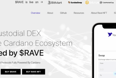 Ravendex (RAVE) Coin Complete Detailed Review About Ravendex