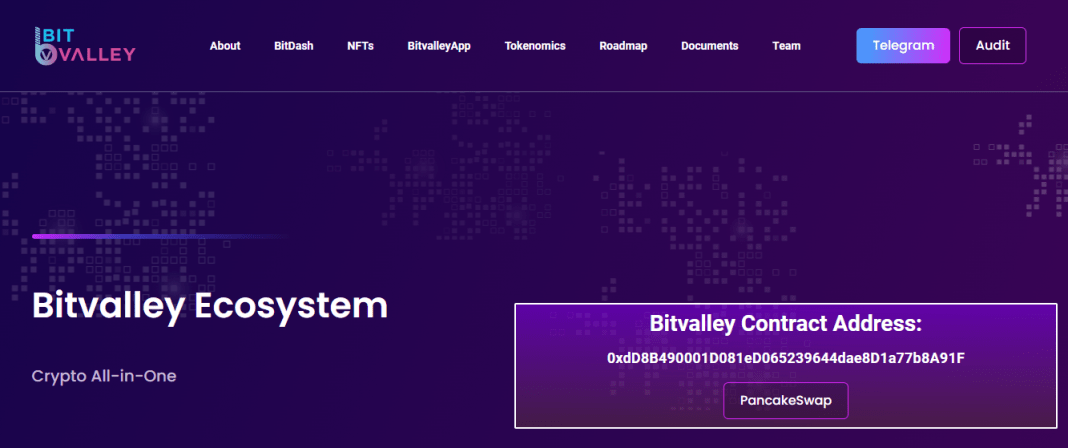 BitValley (BITV) Coin Complete Detailed Review About BitValley