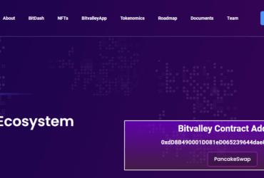 BitValley (BITV) Coin Complete Detailed Review About BitValley