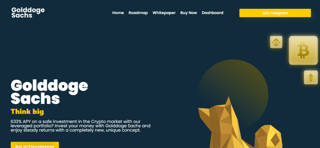 Golddoge Sachs (GDS) Coin Complete Detailed Review About Golddoge Sachs