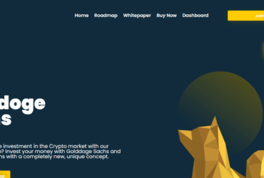 Golddoge Sachs (GDS) Coin Complete Detailed Review About Golddoge Sachs