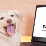 Pet Store