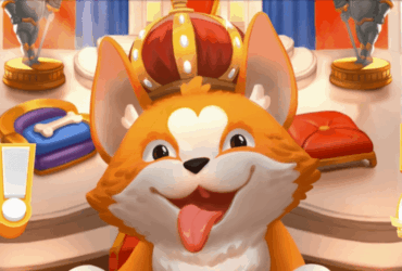 KingCorgi Chain