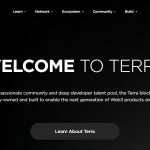 TerraClassicUSD (USTC) Coin Complete Detailed Review