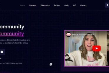 Pinkie (Inu) Coin Complete Detailed Review