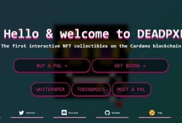 DEADPXLZ (DING) Coin Complete Detailed Review