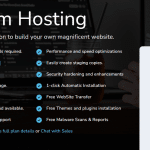 Infinyhost