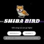 Shibird (SHIRD) Coin Complete Detailed Review