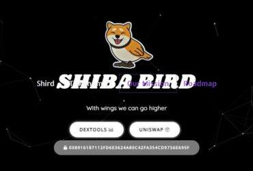Shibird (SHIRD) Coin Complete Detailed Review