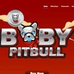 BabyPitbull (BPIT) Coin Complete Detailed Review