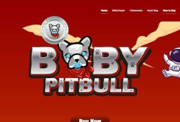 BabyPitbull (BPIT) Coin Complete Detailed Review