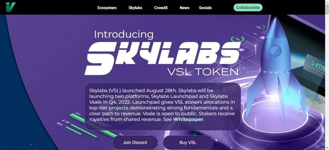 Vetter Skylabs (VSL) Coin Complete Detailed Review